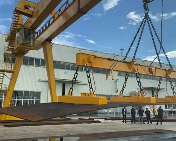 magnet overhead crane(4)